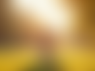 Choosing the Right Video Agency for Your Pet Brand