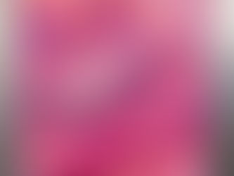 Ouverture des enchères !