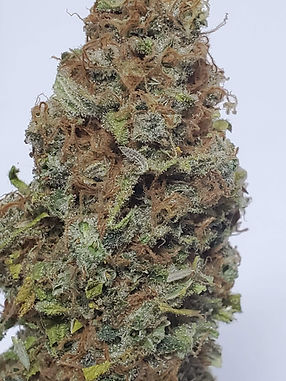 Tahoe Kush
