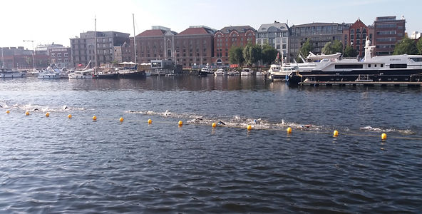 20190623_084310_edited.jpg
