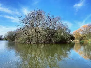 Lockdown is a marathon, not a sprint: why I'm trying to pace myself mentally