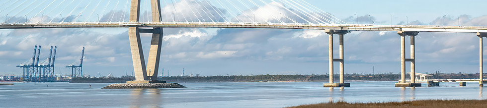 Unsplash - Ravenel Bridhe.jpg
