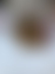 20 tonnes de pommes de terre