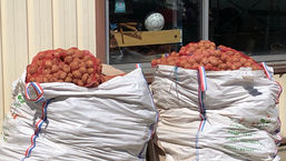 10 tonnes de matériel pour la Roumanie