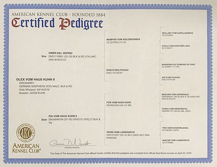 Rex AKC Pedigree.jpg