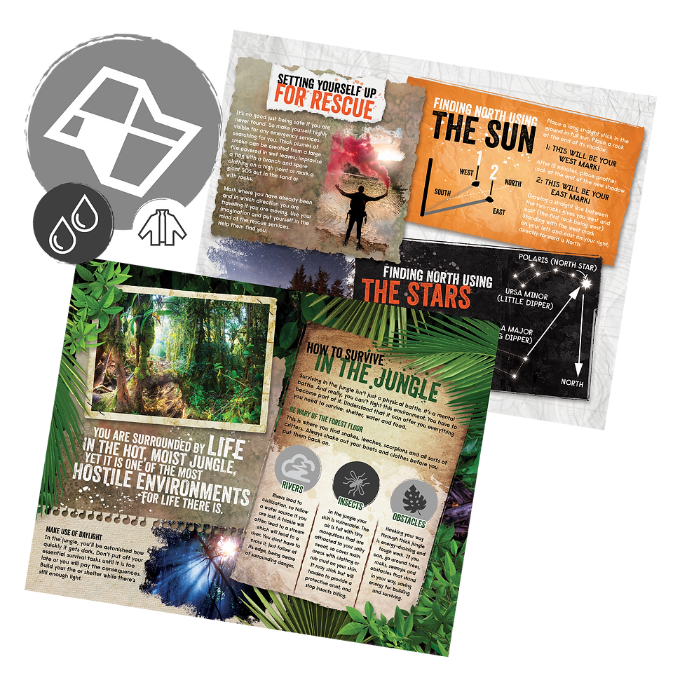 Bear Grylls Adventure book