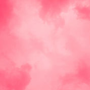rose poudre