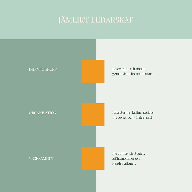 Kopia av  pitch till Enjay jämlikt ledarskap (Instagram-inlägg).png