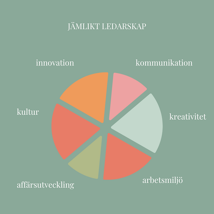 Kopia av  Enjay jämlikt ledarskap -Slutsatser från workshop i maj 2023 (Instagram-inlägg) 