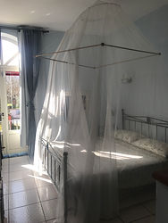 Image by Element5 Digital