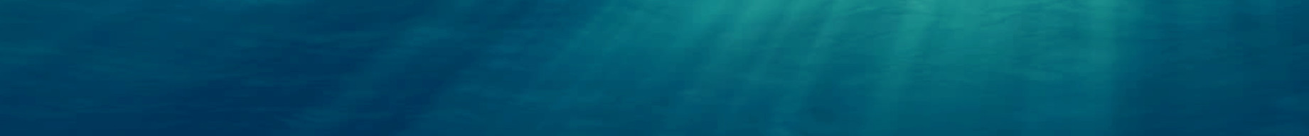 Chefs 25 Signature Logo GIF Concept (500