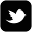 twitter-bird2-square