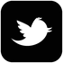 twitter-bird2-square