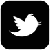 twitter-bird2-square