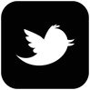 twitter-bird2-square