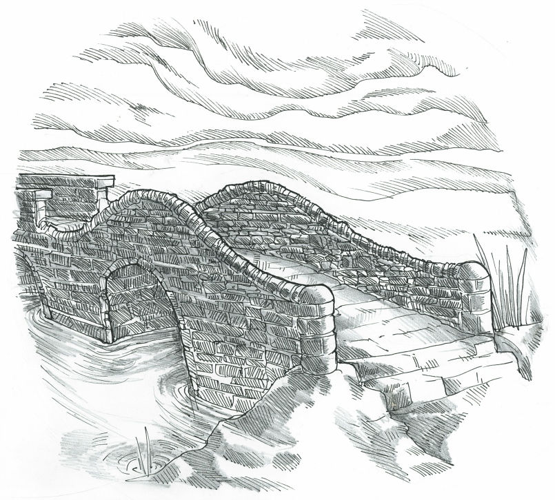 the bridge