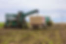 SBR50861.jpg
