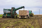 SBR50861.jpg