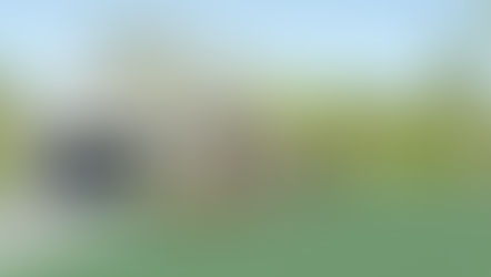 MEDITERRAINEAN HOUSE PLAN-CD-239, 3 BEDROOMS, 3 FULL 1-1/2 BATHS, 1,926 SQFT