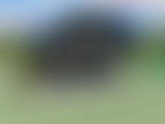 QUON HUT HOUSE PLAN-QN100, 3 BEDROOMS, 3 1/2 BATHS/SUB FLOOR 2,796 SQFT