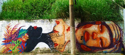 ● RAIZ ●