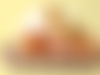 Which Eggs Do I Buy???