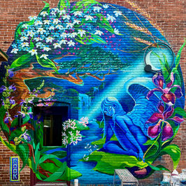 Murals ◍ Aron Rook