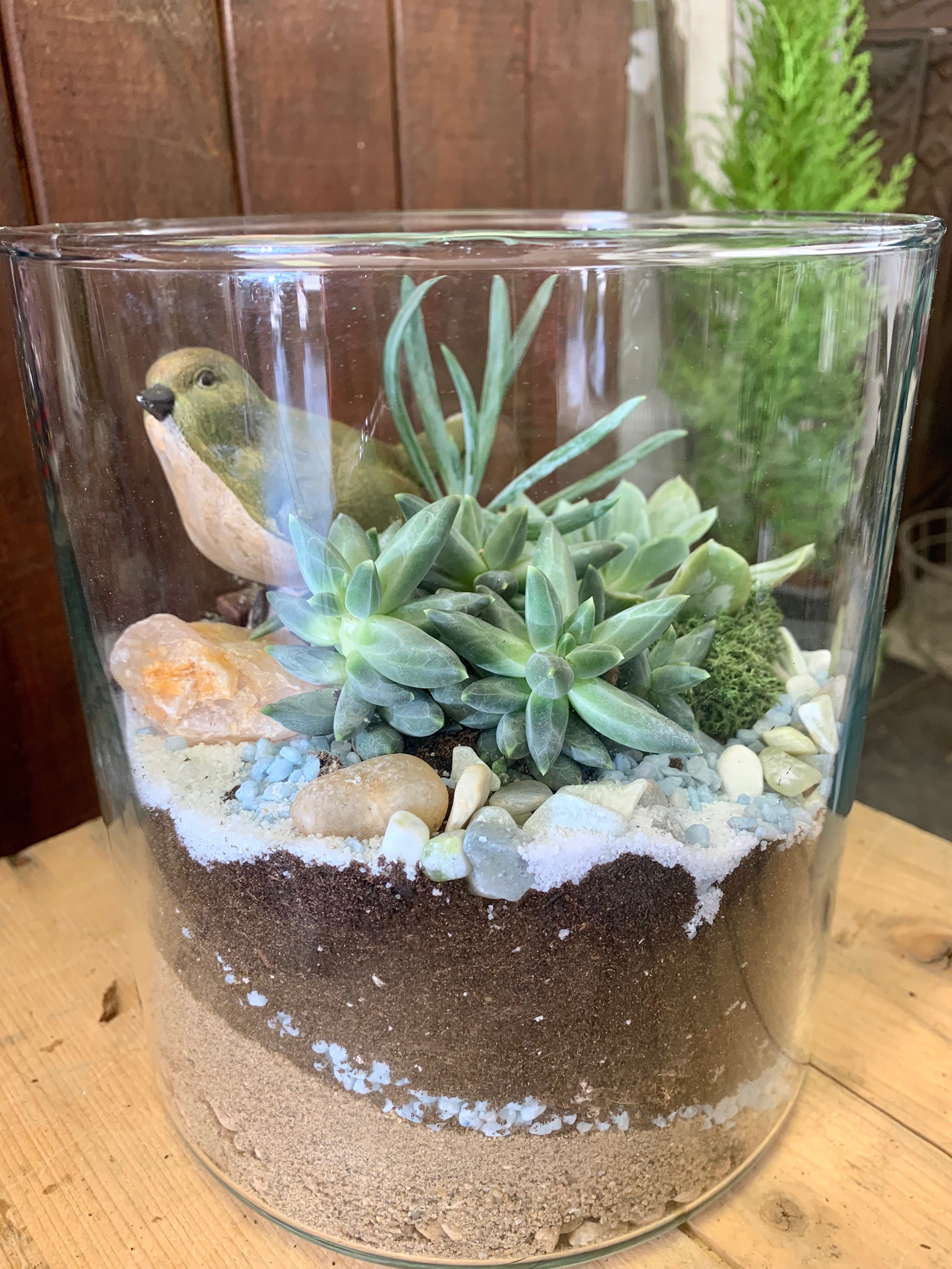 Terrariums Vintage Thistle Flowers & Gifts Stettler, AB