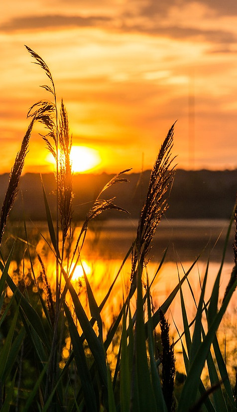 sunrise-1670984_1280.jpg