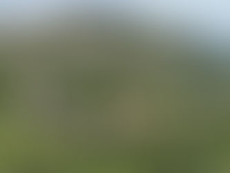 May 24, 2025 Kids and their Dreams - A Promise for the Future