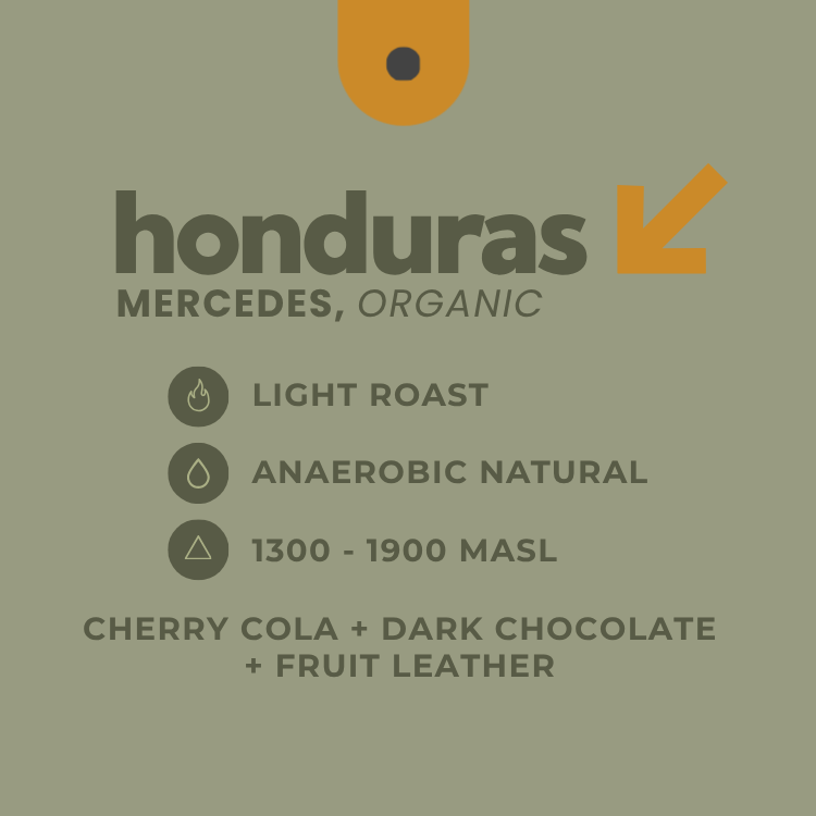Honduras, Mercedes, Organic