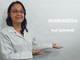Bioernegética