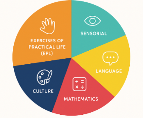 curriculum.PNG