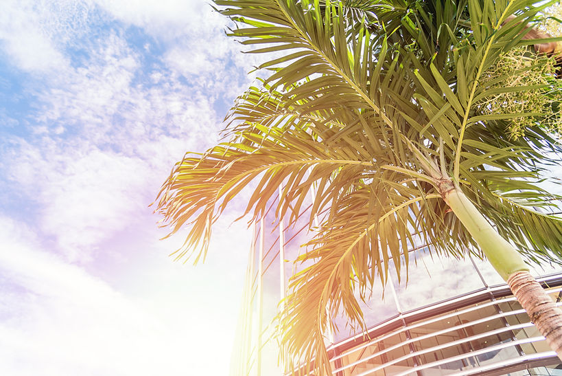 AdobeStock_336931108.jpeg