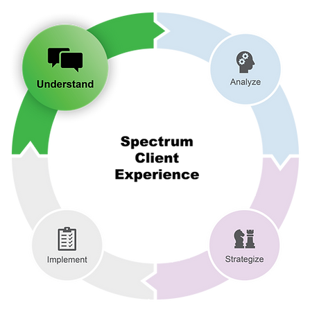 Spectrum Experience_1_Understand_2-min.png