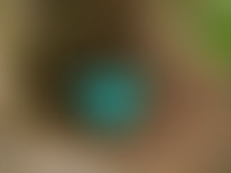 Understanding Your 401(k)