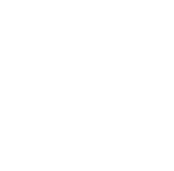 White Instagram Icon