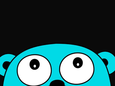 Building a Simple Web Server in Go