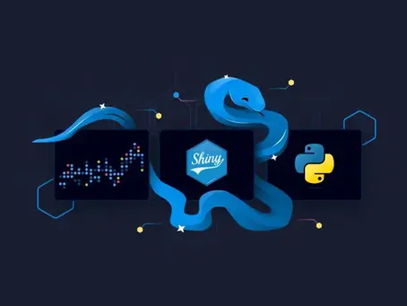 Shiny Express: Blending the Best of Shiny and Streamlit for Dashboard Development