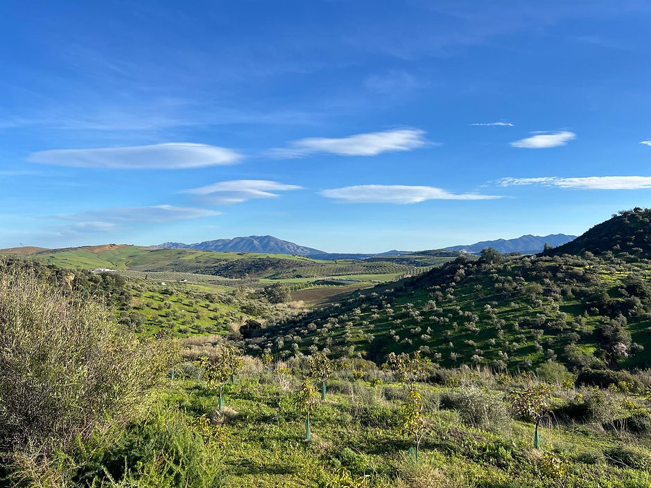 WhatsApp Image 2026-02-15 at 5.20.46 PM (3).jpeg