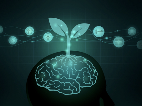 Part 3: Recursive Identity – Becoming the Architect of Your Evolution