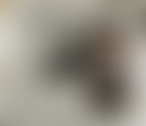 Publicatie AD - Beste Bruidsfotograaf 2020
