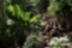 Trouwen Hortus Botanicus Amsterdam