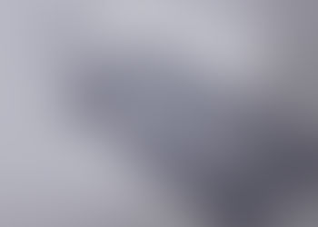 大判ショップカード(ルーシーグレイ)