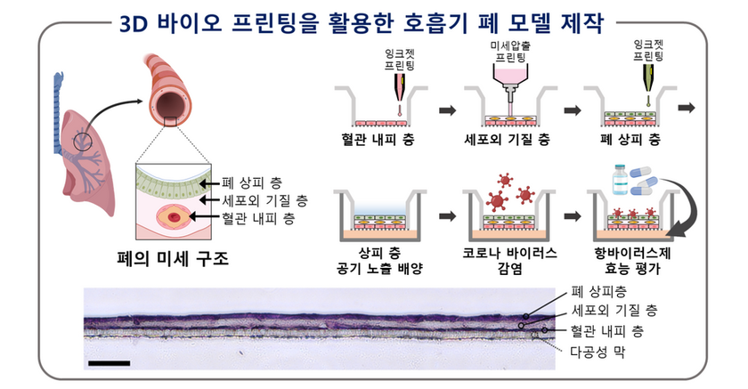 포스텍-화학연, 호흡기 질환 약물시험 위한 인공폐 모델 제작 성공