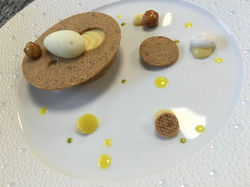 Lemon, Yuzu, and Hazelnut Tart