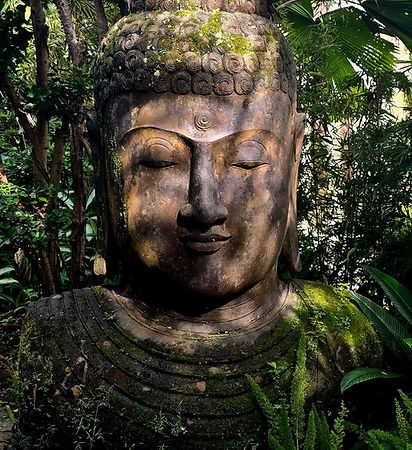 Zest buddha_edited.jpg