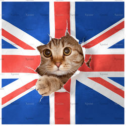 0038.01_kupon___75.0x75.0cm