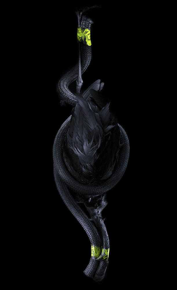 LOSS & DAMAGE , Lenticular Photography, Andrei Loginov