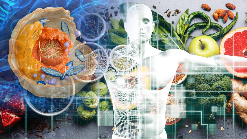 cellular-health (1).jpg